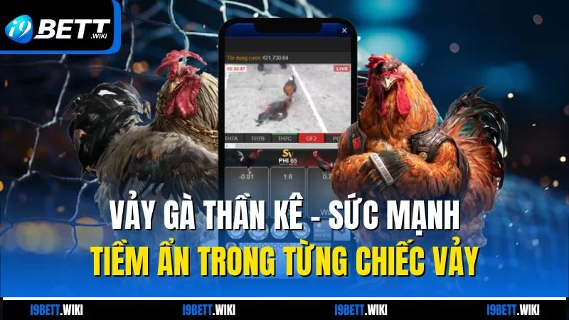 Vảy gà thần kê